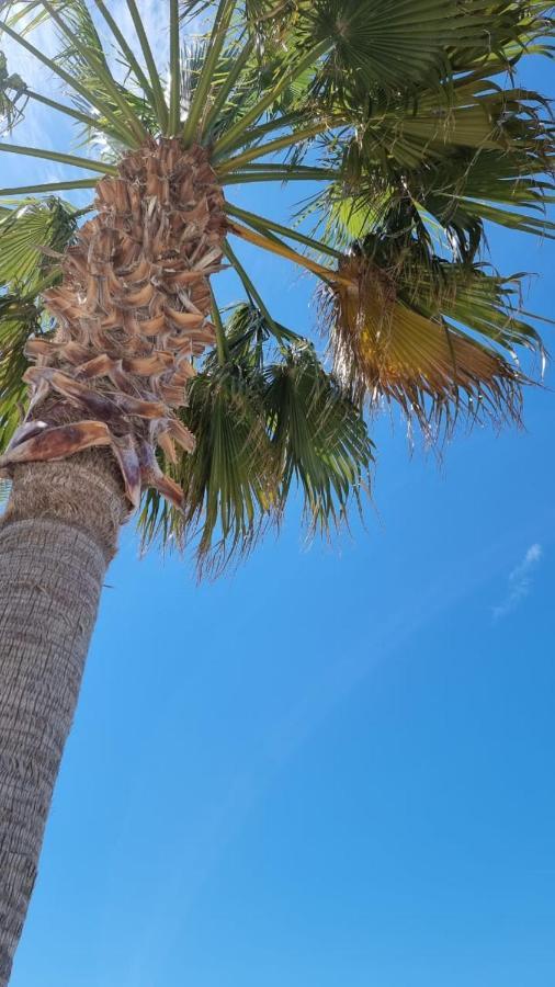 Odri Apartment Vlorë Eksteriør billede